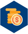 Money Icon